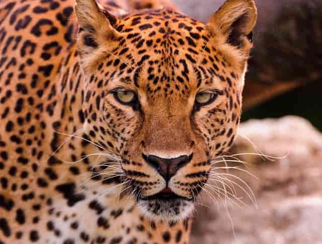 2021年盐城建湖二中录取分数线