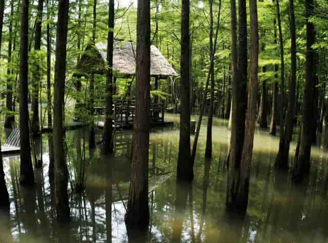 房车在什么地方改装