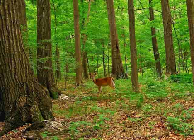 网络安全防护措施与技术