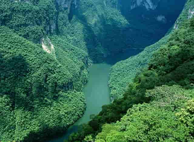 学校创建文明城市建设