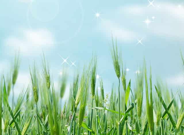 大专生毕业能高考呢么