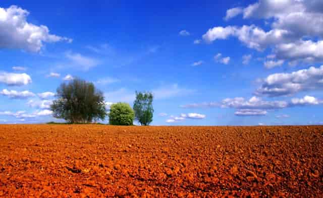 接种肺炎疫苗需注意什么