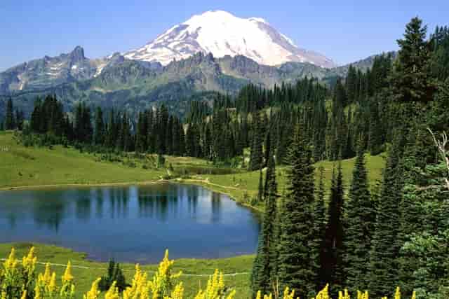 专业组志愿怎么录取