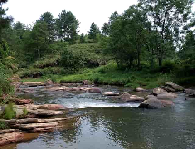 礼仪培训学期总结