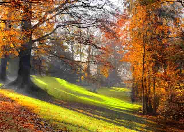 乐平市2021教师招聘考试公告